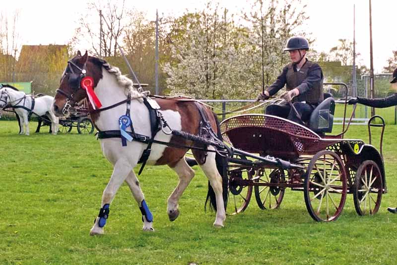 fahen_1_800 Fahren im RVV Hannover Badenstedt