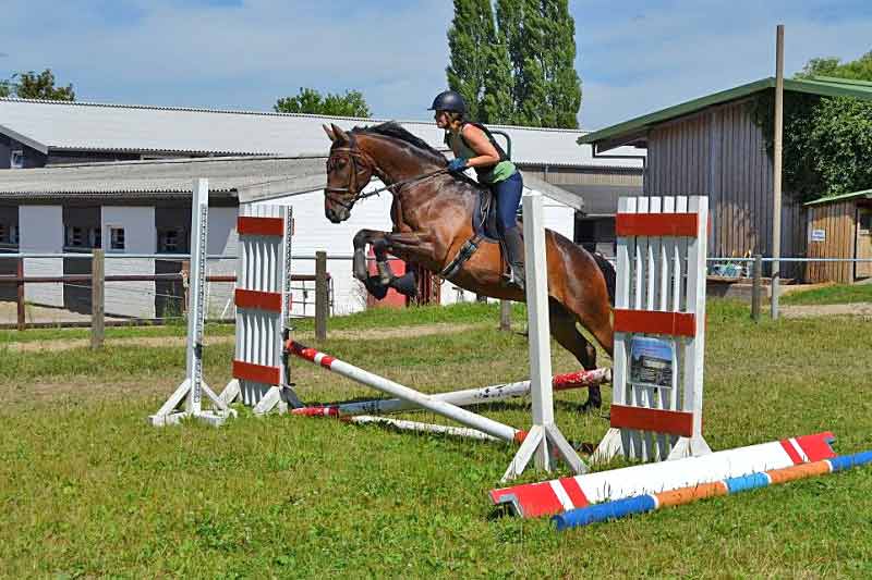 springen Springreiten im RVV Badenstedt