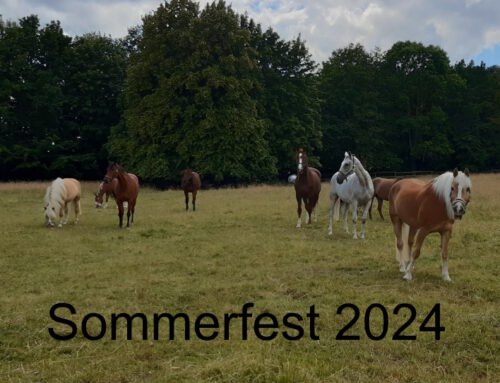 Sommerfest am 11. August