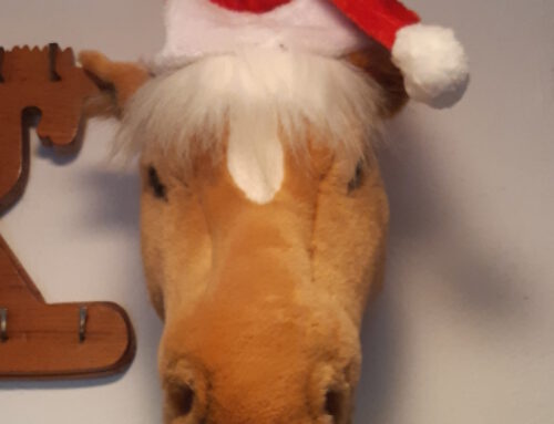 Weihnachtsfeier 2025