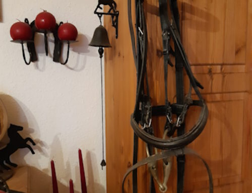 Reiter- und Hofflohmarkt